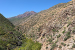 photo thumbnail #13
