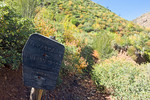 photo thumbnail #15