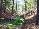 photo thumbnail #3