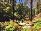 photo thumbnail #4