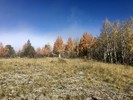photo thumbnail #10