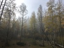 photo thumbnail #13