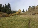 photo thumbnail #15