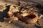 photo thumbnail #2