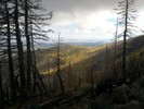 photo thumbnail #6