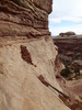 photo thumbnail #6