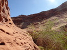 photo thumbnail #11