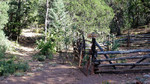photo thumbnail #10