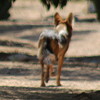 photo thumbnail #2