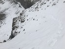 photo of comment