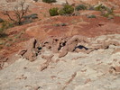 photo thumbnail #14