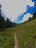 photo thumbnail #1