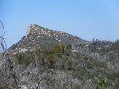 photo thumbnail #4
