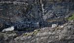 photo thumbnail #13