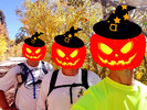 photo thumbnail #5