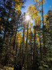 photo thumbnail #13