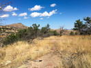 photo thumbnail #14