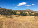 photo thumbnail #9