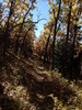 photo thumbnail #8