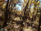 photo thumbnail #11