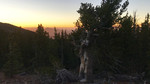 photo thumbnail #12