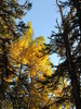 photo thumbnail #15