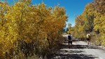 photo thumbnail #13