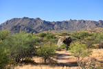 photo thumbnail #4