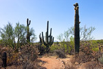 photo thumbnail #7