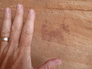 photo thumbnail #13