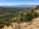 photo thumbnail #10