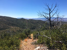 photo thumbnail #8