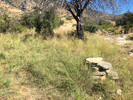 photo thumbnail #4