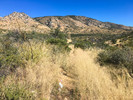 photo thumbnail #3