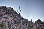 photo thumbnail #10
