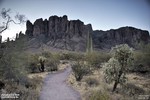photo thumbnail #9