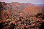 photo thumbnail #3