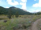 photo thumbnail #3