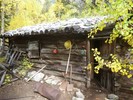 photo thumbnail #5