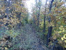 photo thumbnail #10