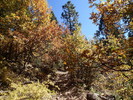 photo thumbnail #1