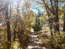 photo thumbnail #5