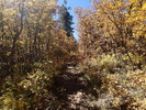 photo thumbnail #6