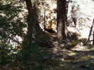 photo thumbnail #11