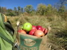 photo thumbnail #8