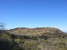 photo thumbnail #11