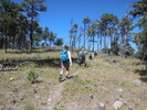 photo thumbnail #4