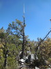 photo thumbnail #7