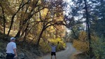 photo thumbnail #2