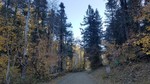 photo thumbnail #5